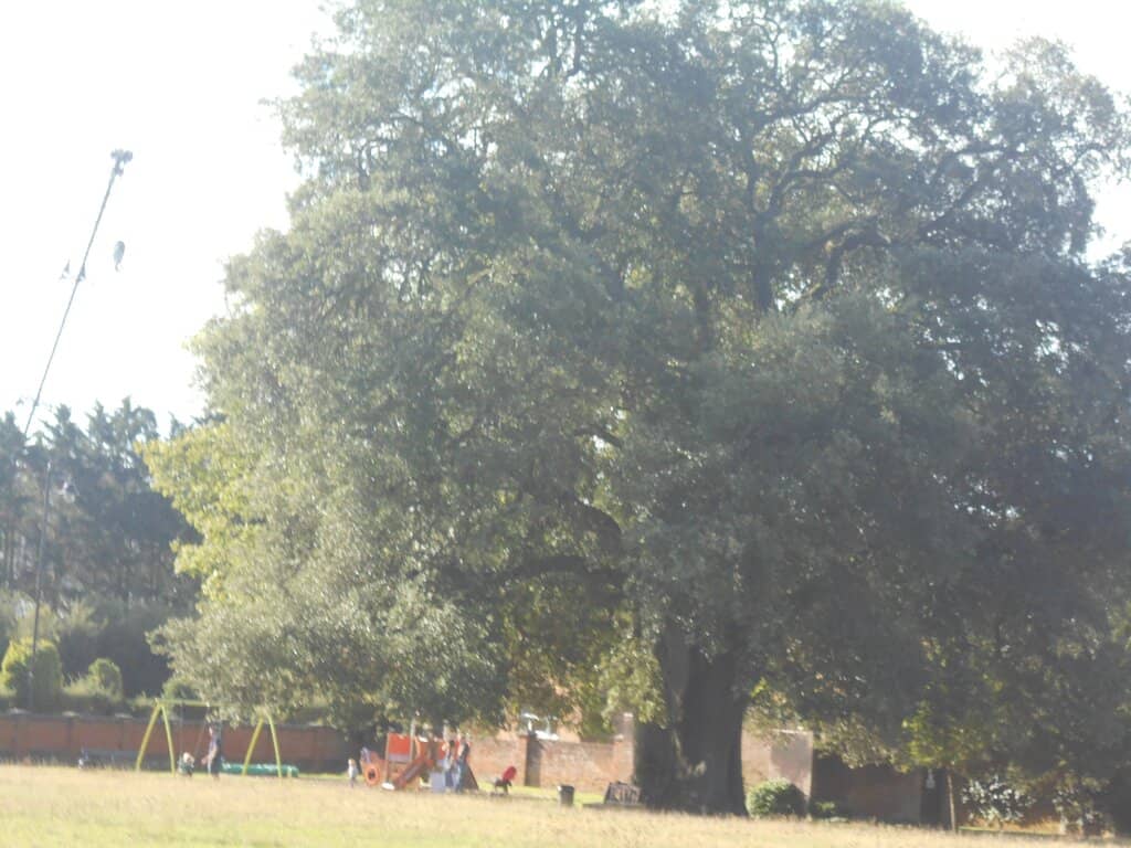 Flower Gardens and Footpaths