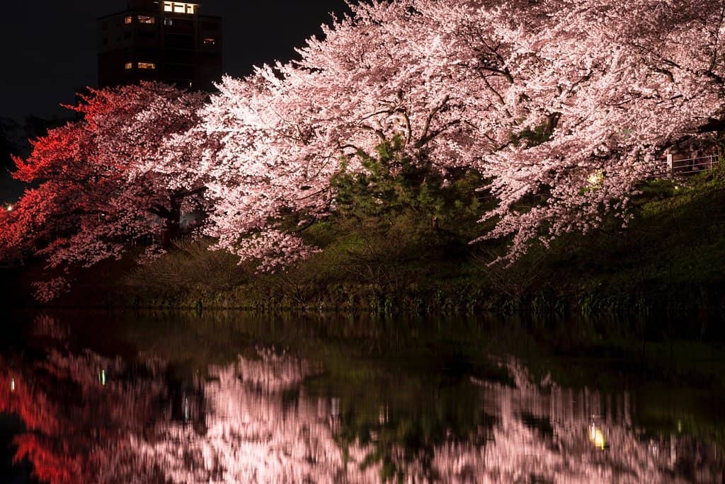 Fukuoka Castle Ruins