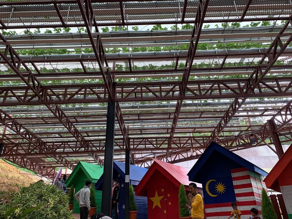 Vast Lavender Fields