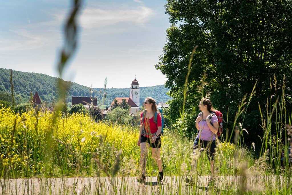 Audio Guide Experience