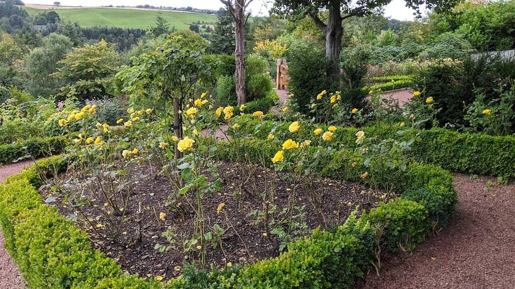 Children's Play Area