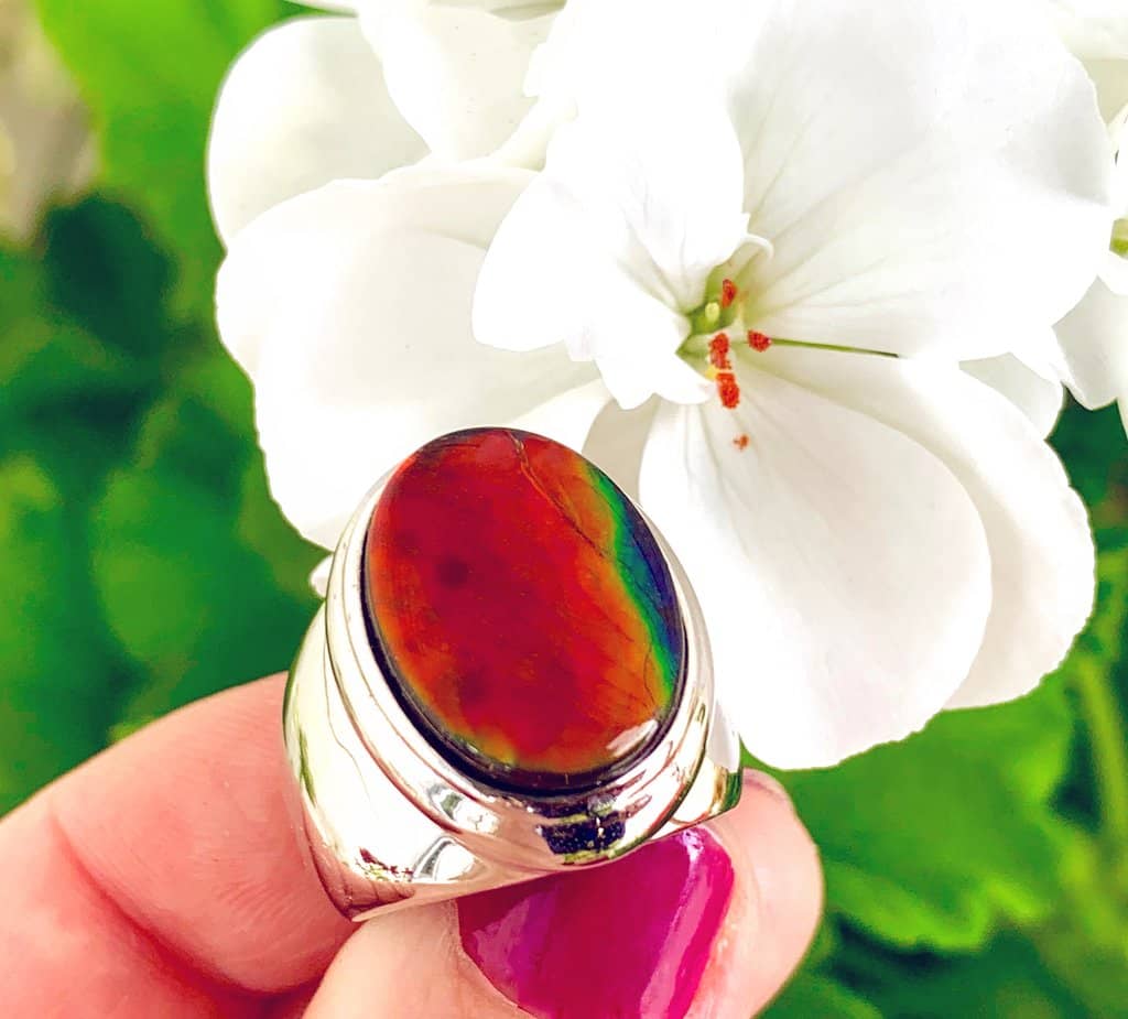 Ancient Geological History