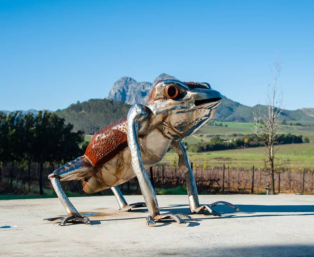 Stunning Estate Views