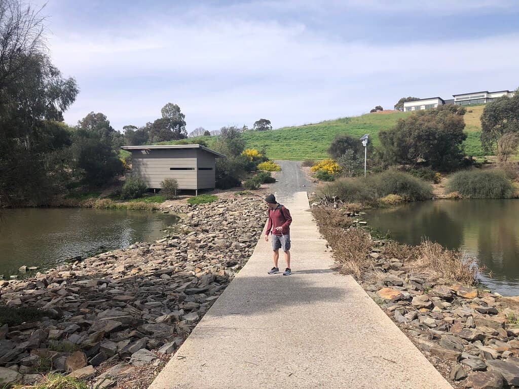 Native Flora and Fauna