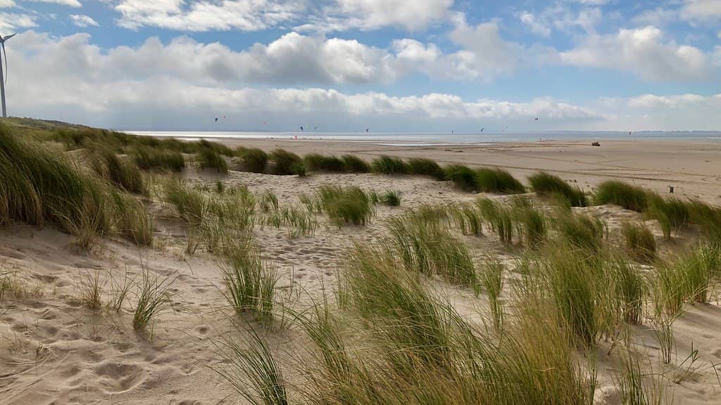 The Industrial Horizon