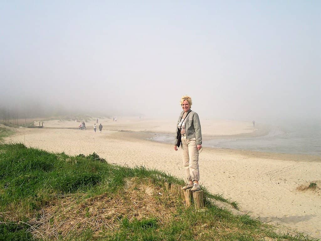 Highlights