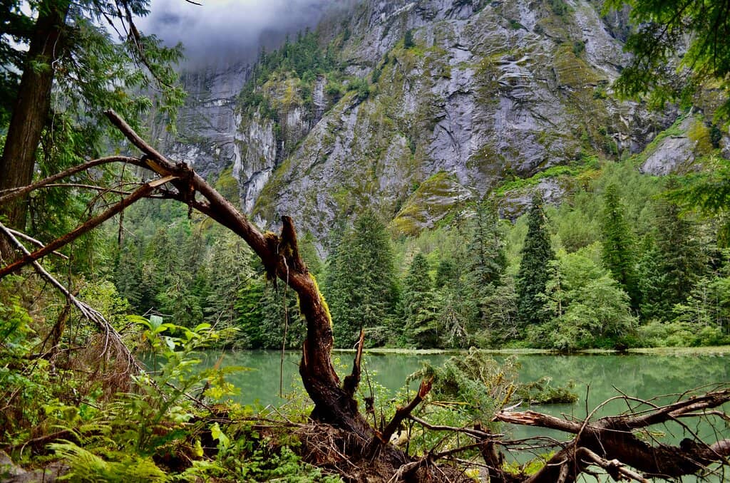 Serene River Views