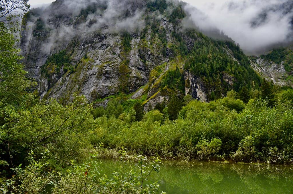 Vertical photo
