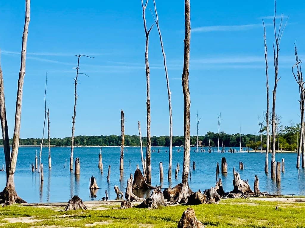 Picnic Spots with Views