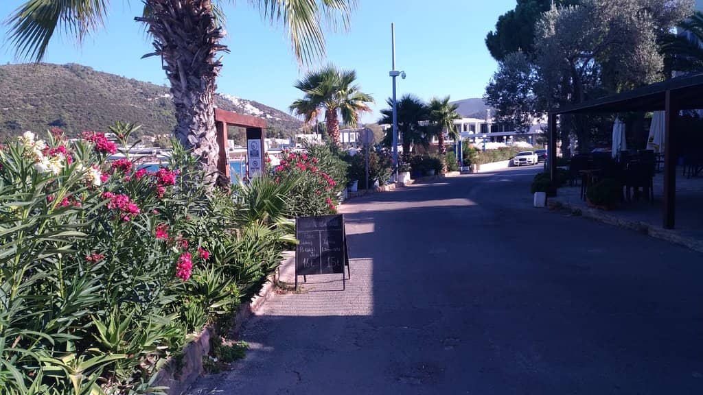 Tranquil Public Beach Access