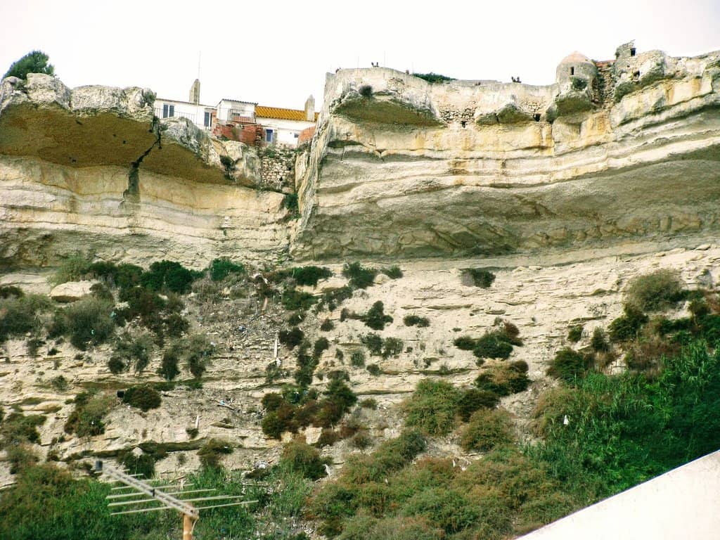 Vertical photo