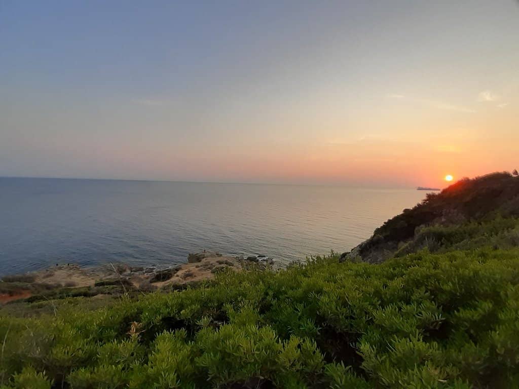 Drone Footage of the Estate