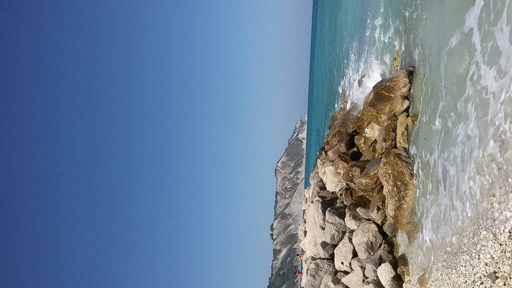 Vertical photo