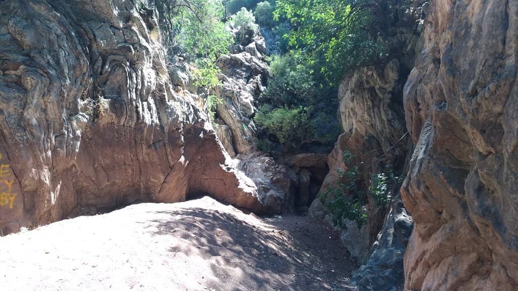 Vertical photo