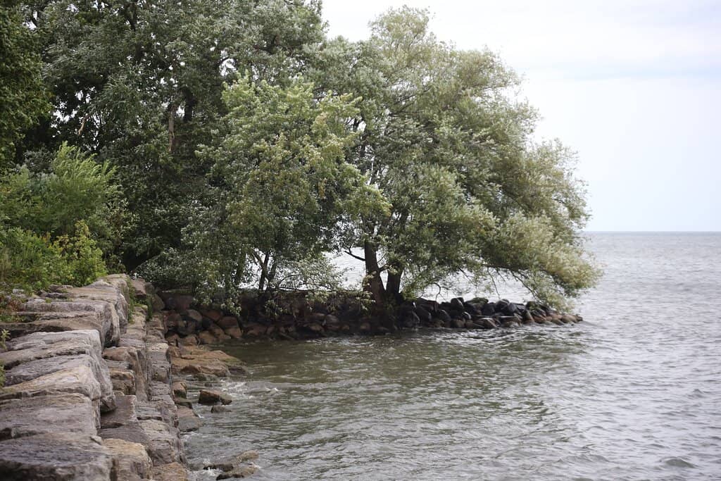 Paved Lakeside Path