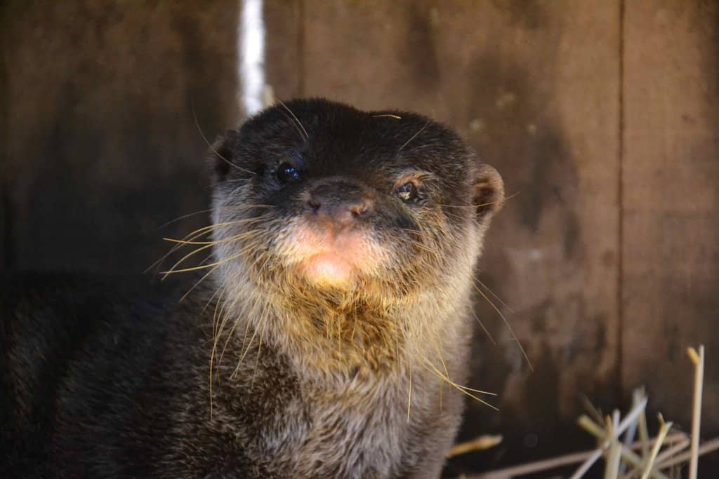 Educational Animal Exhibits