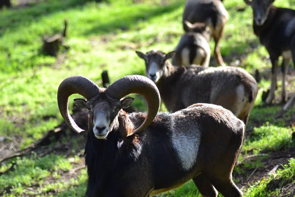 Scenic 3km Nature Circuit