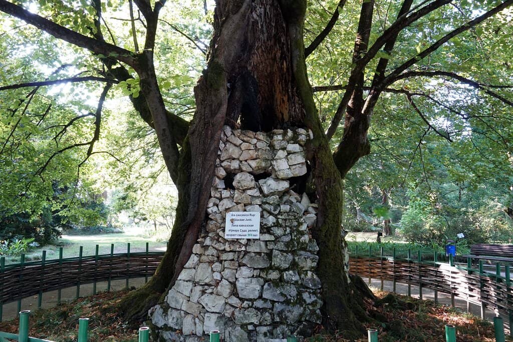 Exotic Flora Collection