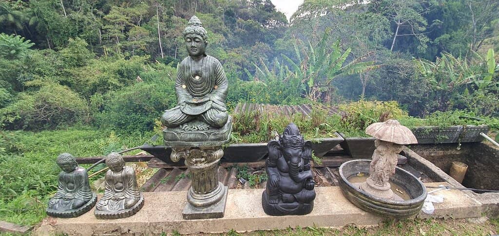 Mystic Gardens