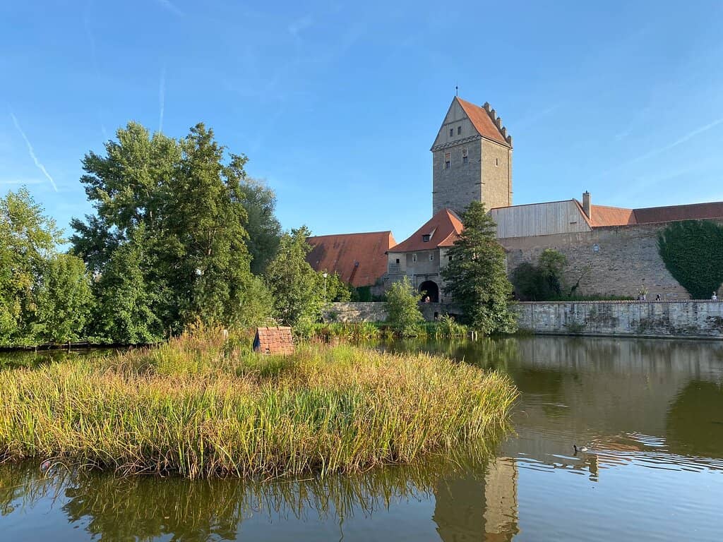Park and Pond View