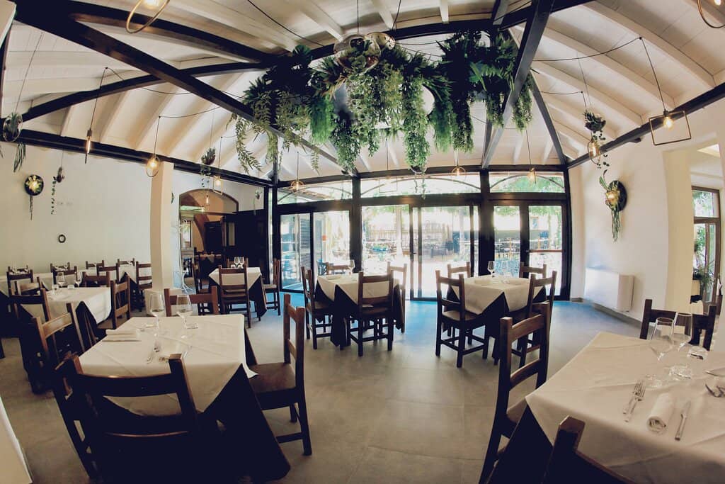 Charming Garden Ambiance