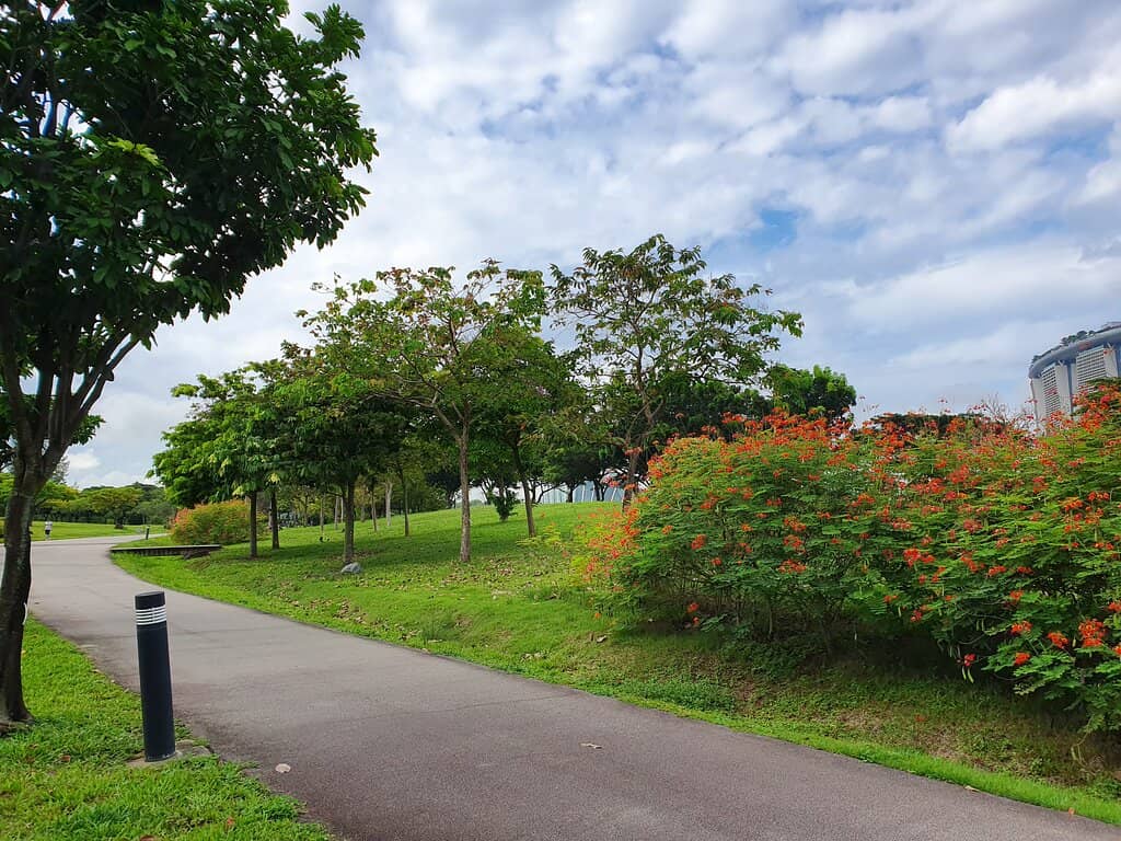 Bay East Garden Waterfront
