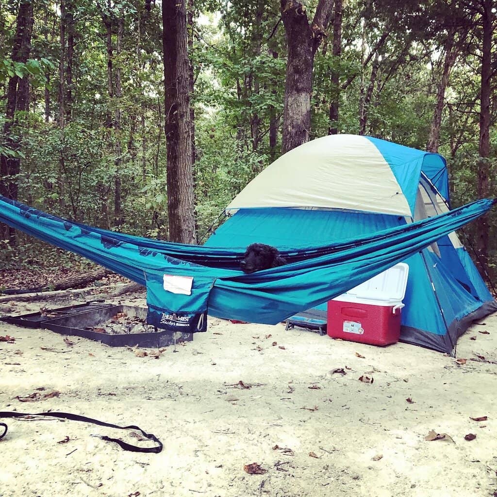Spice Bush Trail