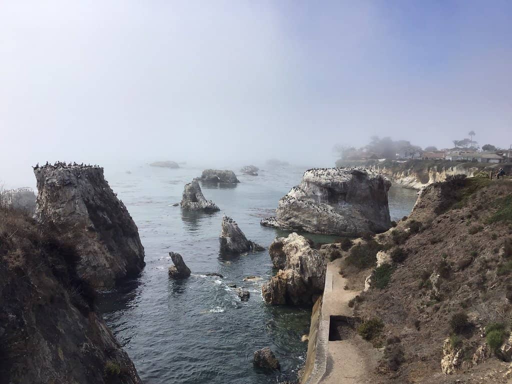 Vertical photo