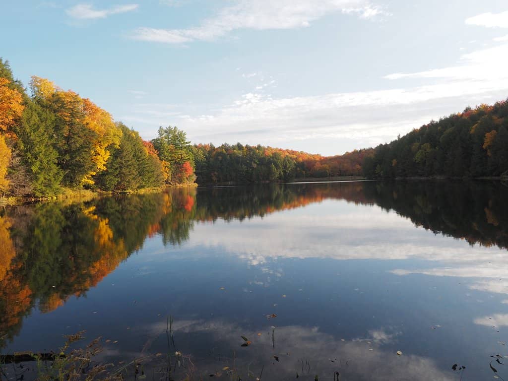 Champlain Lookout Trail Loop