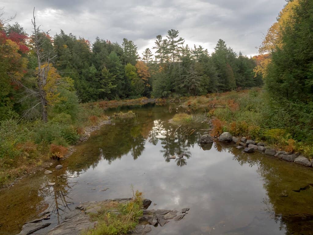 Scenic Nature Views