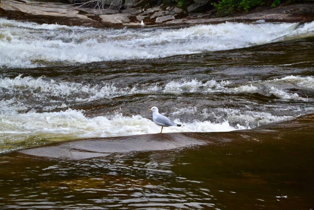 Stockton Sand Dunes Adventure