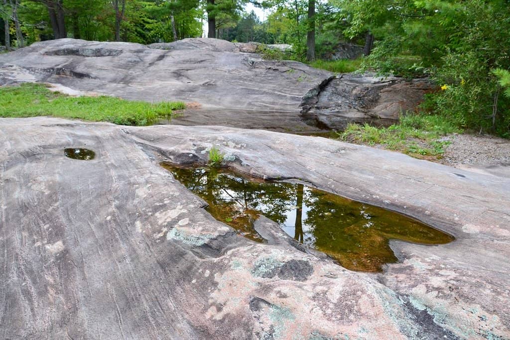 Fingal Spit Connection