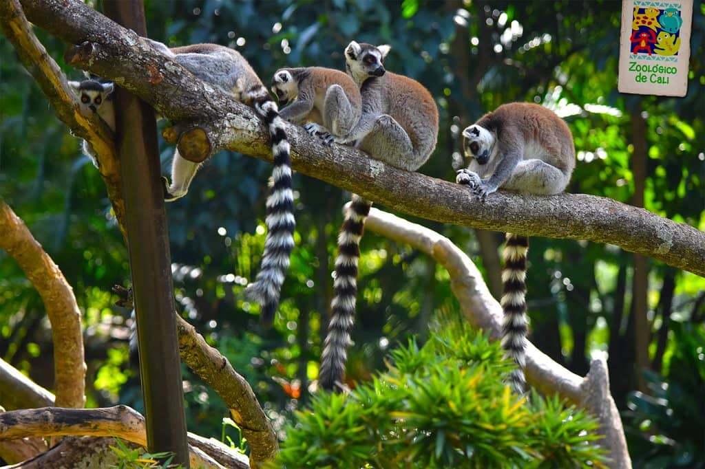 Spectacular Asian Exhibit