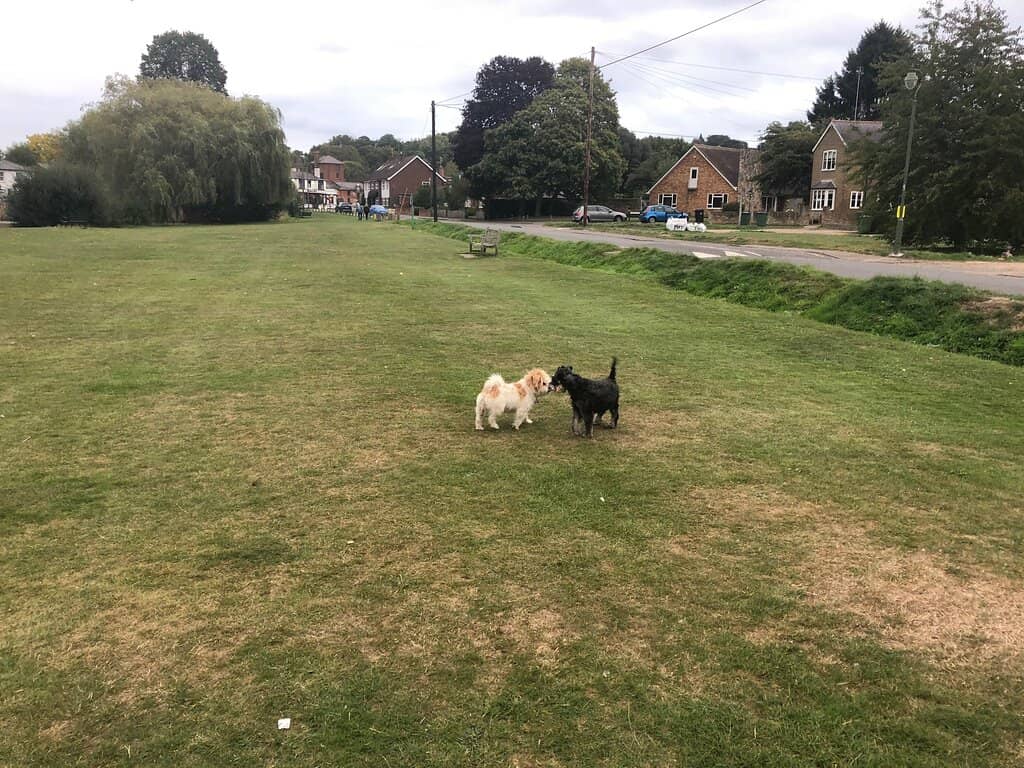 Wildlife Spotting