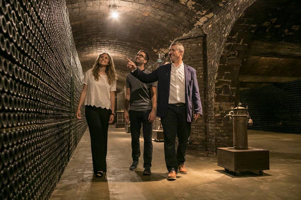 Cava Tasting Experience