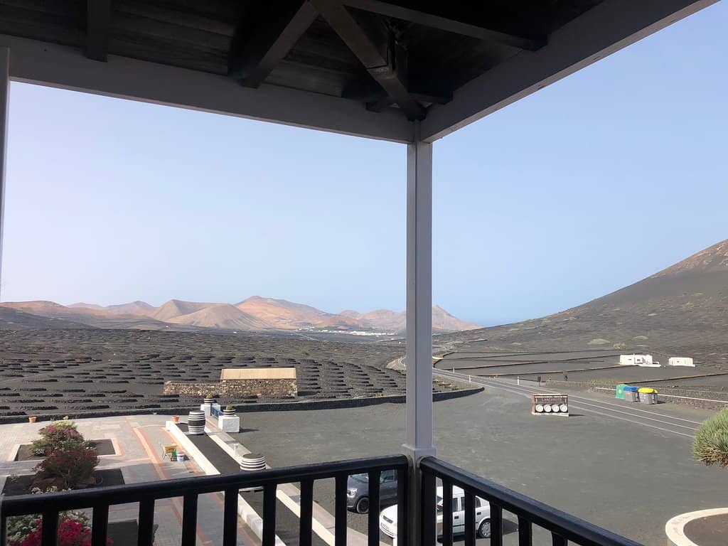 Malvasia Volcánica Wine Tasting