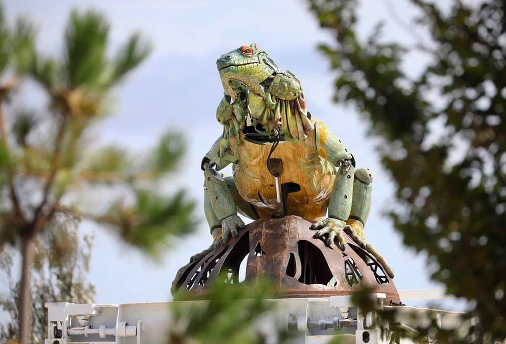 Fire and Steam Spectacle