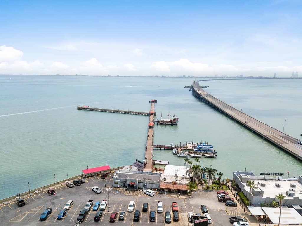 Dolphin Watching Tours