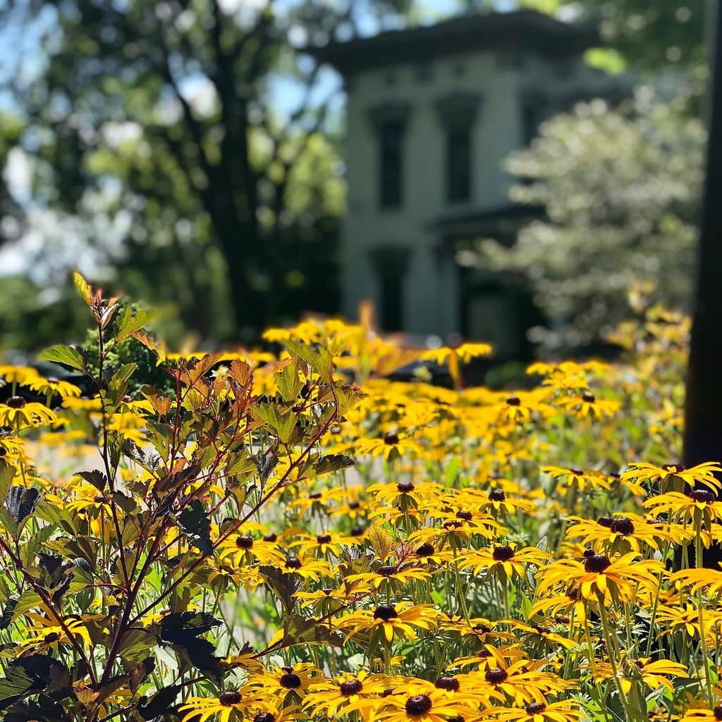 Italian Villa Architecture