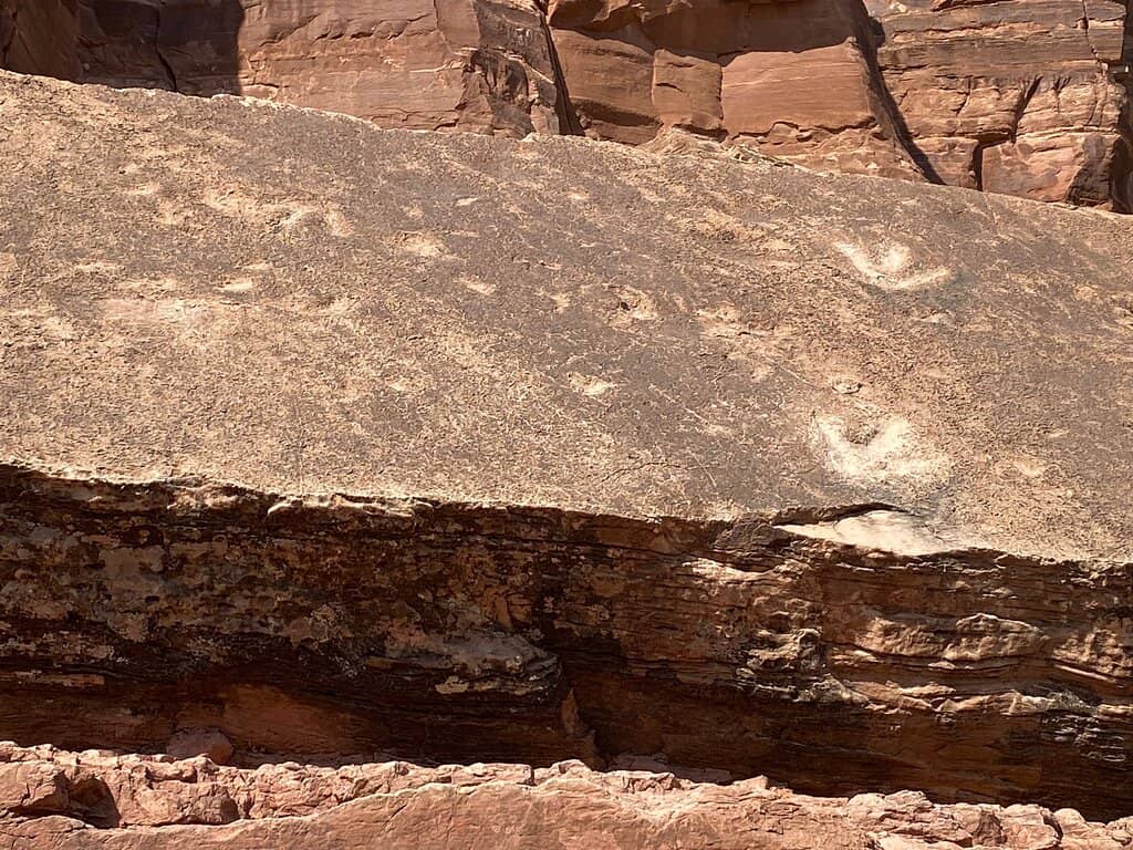 Ancient Petroglyphs