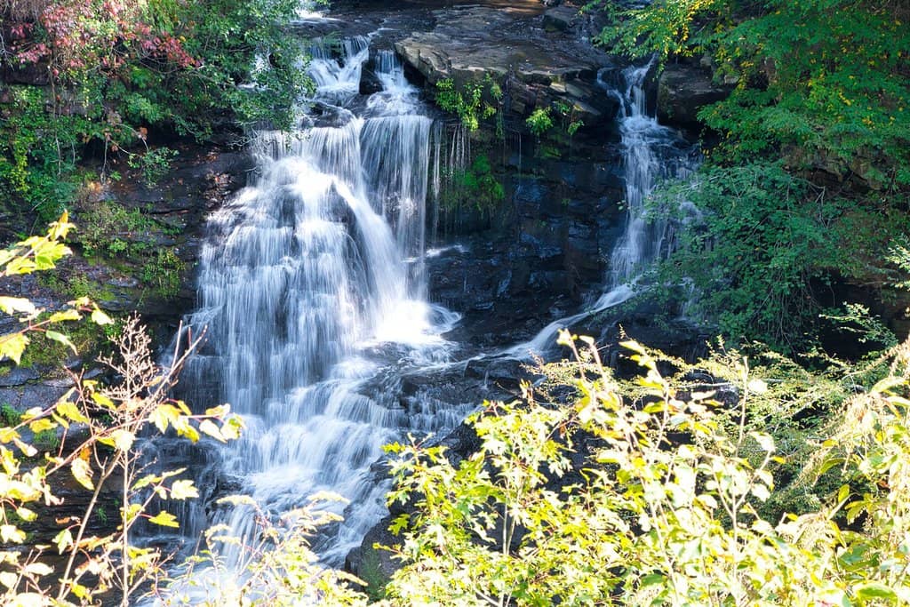 Top of the Waterfall Trail