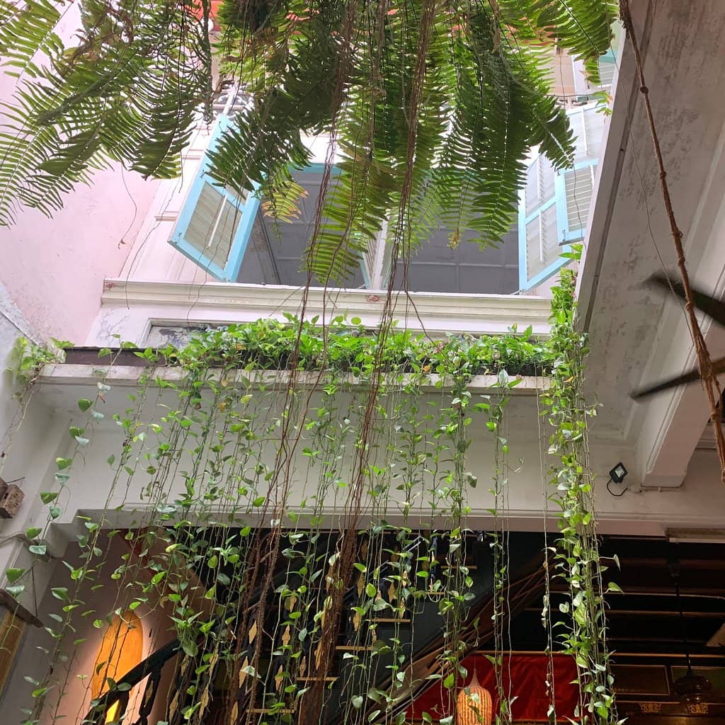 Creative Fusion Cuisine