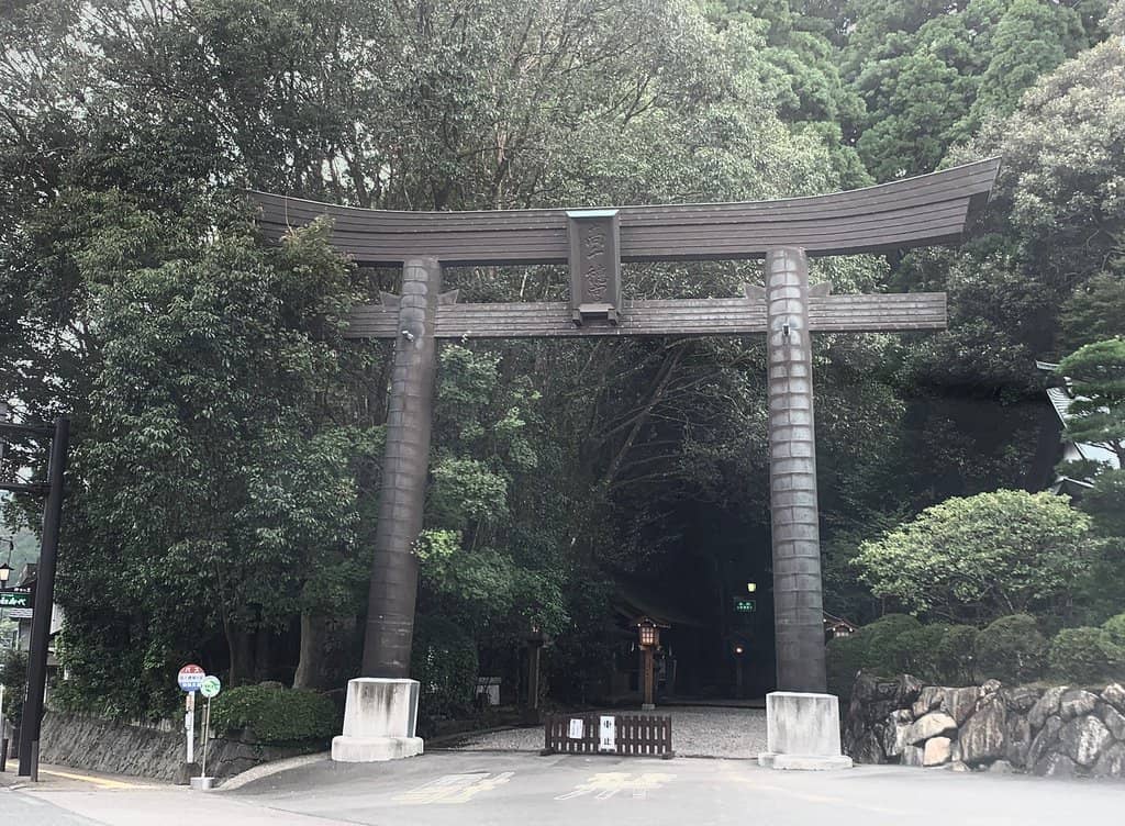Ancient Cedar Grove