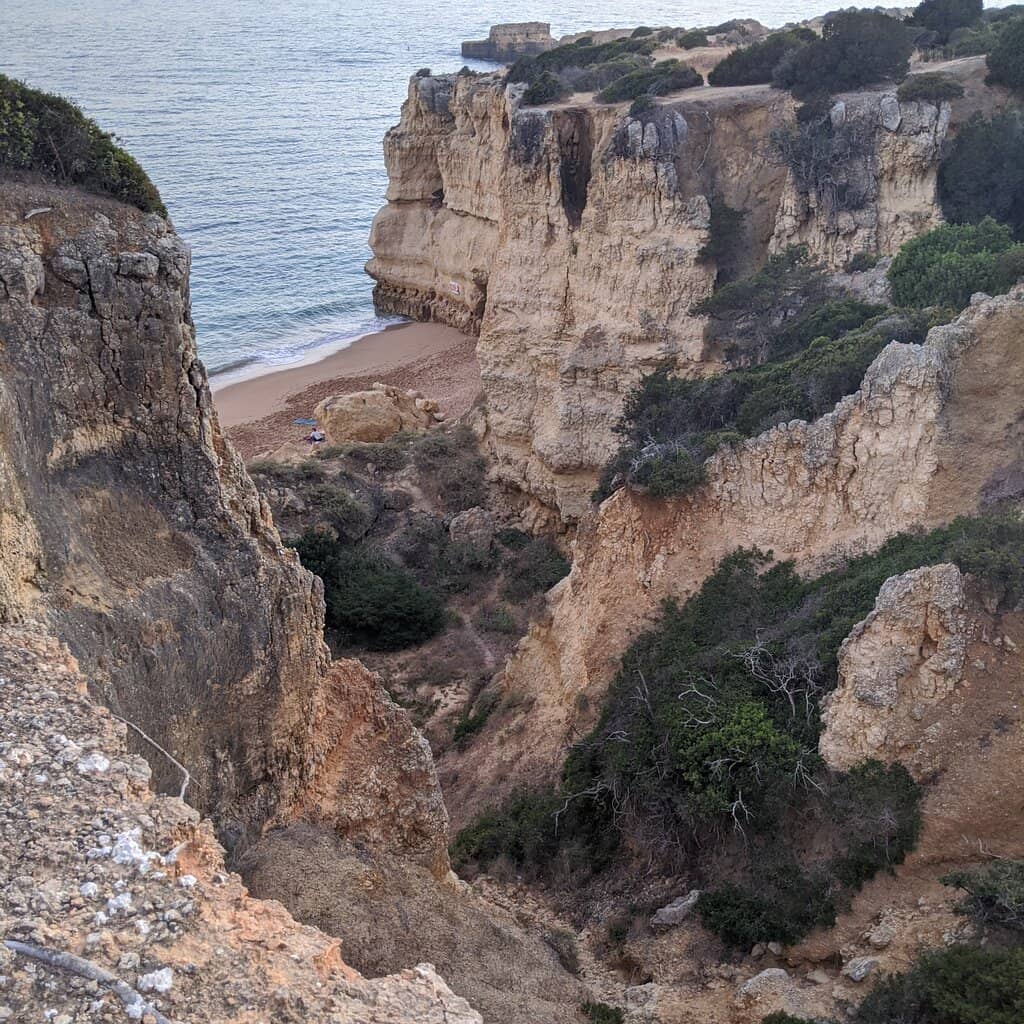 Vertical photo