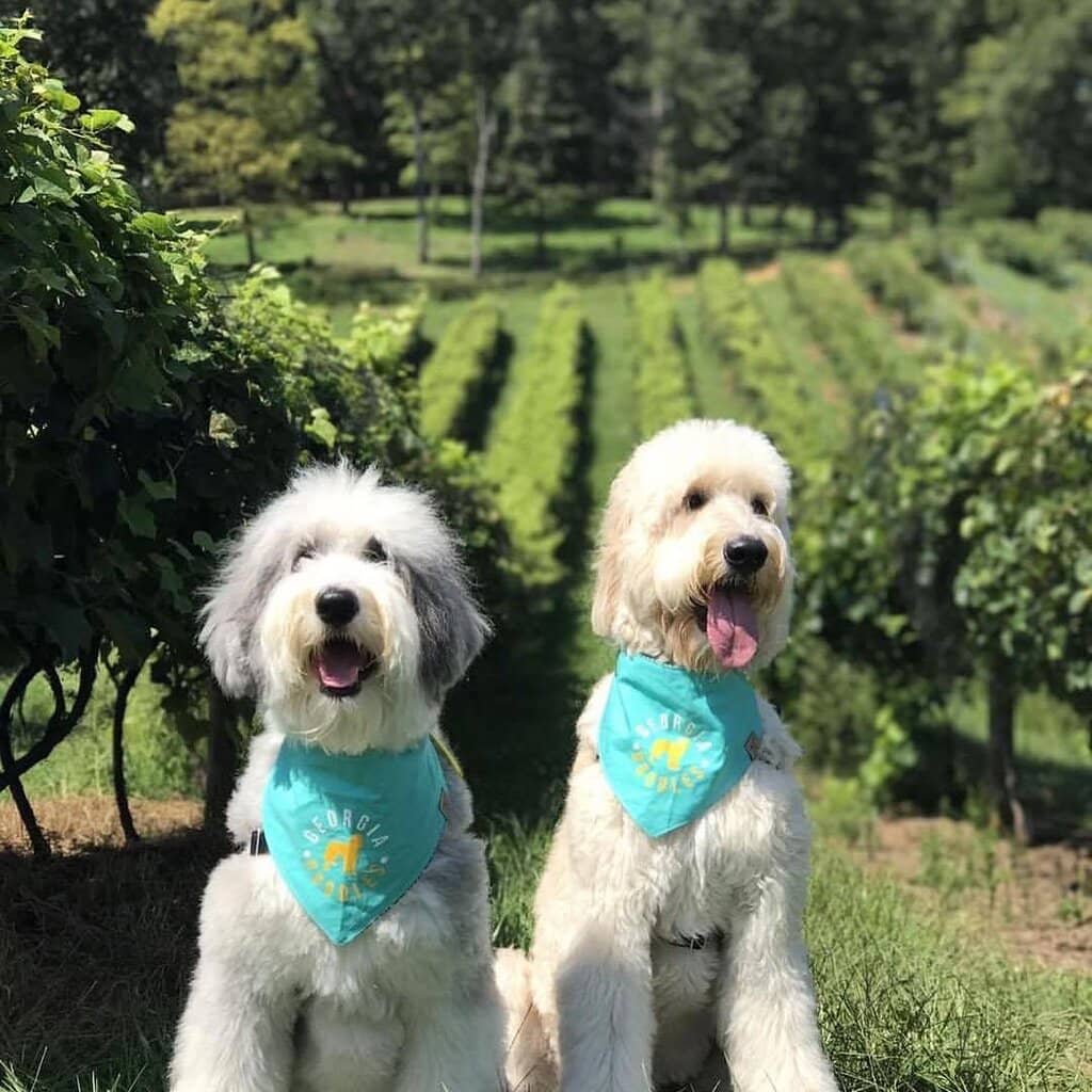 Live Music on the Porch