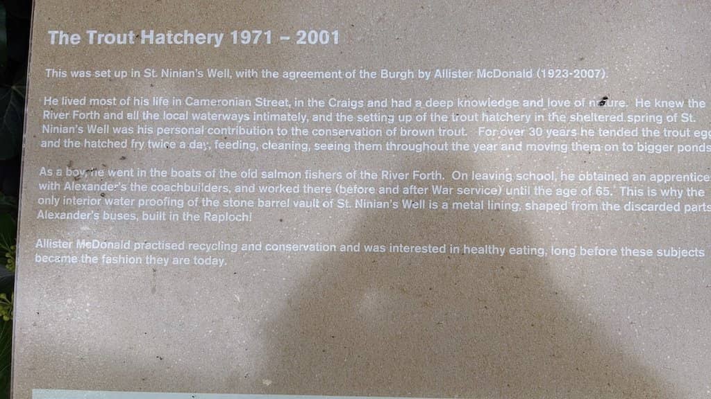 Tranquil Surroundings