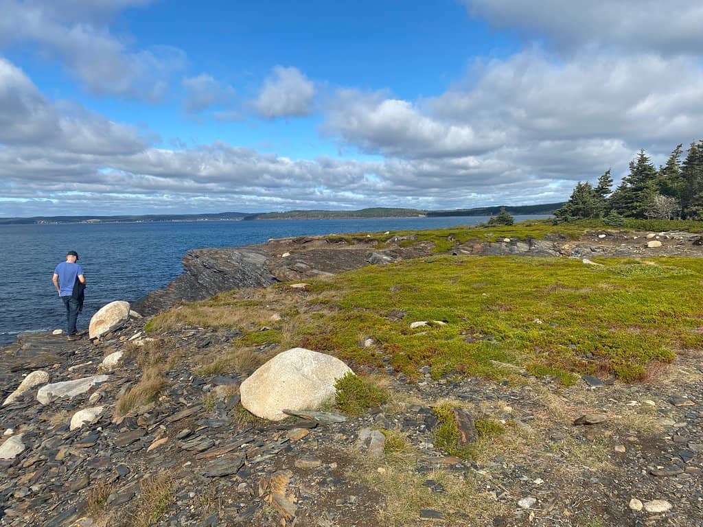 Enchanting Forest Paths