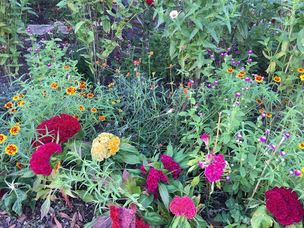 Informative Visitor Center