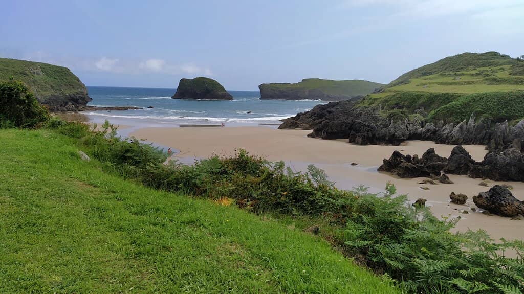 Coastal Path Views