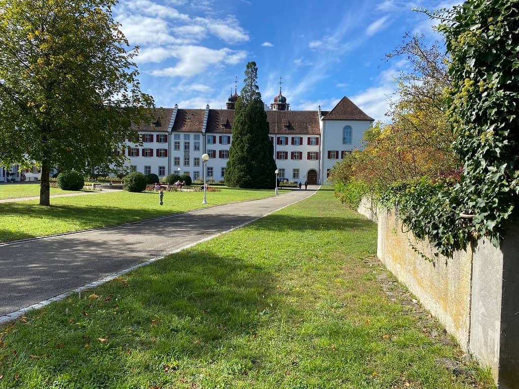 Ancient Sequoia Trees